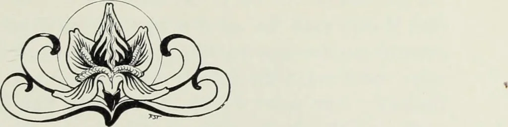 An illustration from Europas Fürsten im Sittenspiegel der Karikatur, mit 468 Textillustrationen und 72 farbigen Kunstblättern nach seltenen und amüsanten Karikaturen, aus allen Ländern und Zeitepochen, 1908, leaf 5