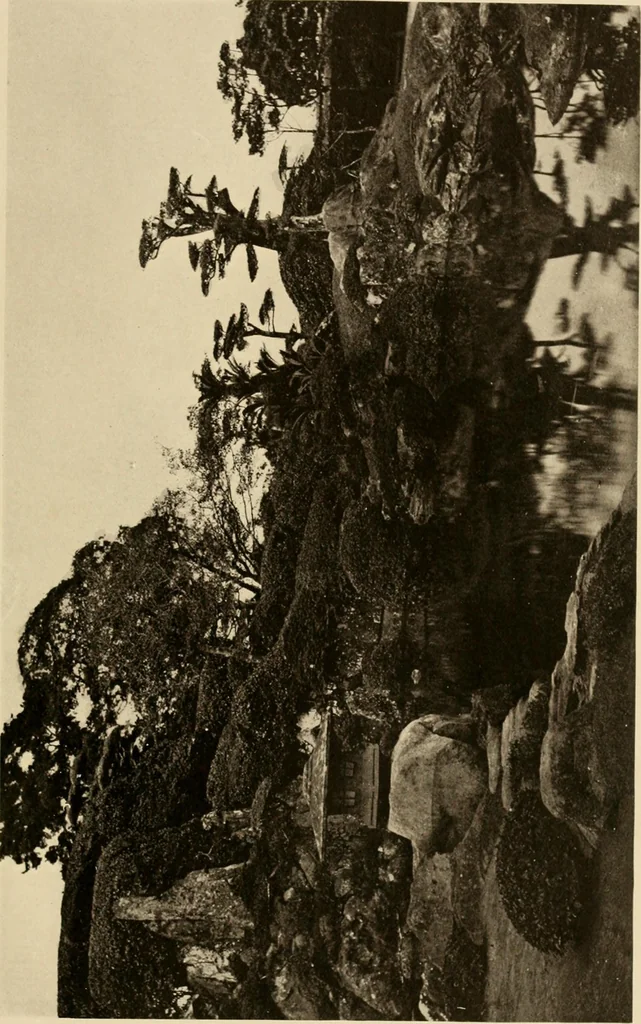 An illustration from European and Japanese gardens; papers read before the American Institute of Architects, 1902, leaf 144