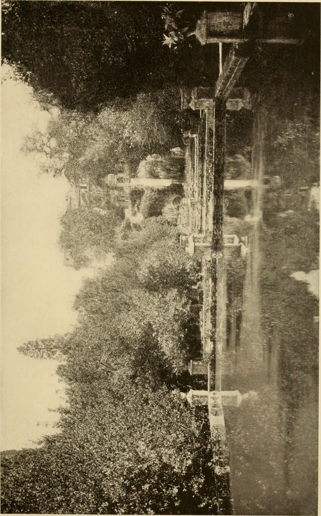 An illustration from European and Japanese gardens; papers read before the American Institute of Architects, 1902, leaf 50