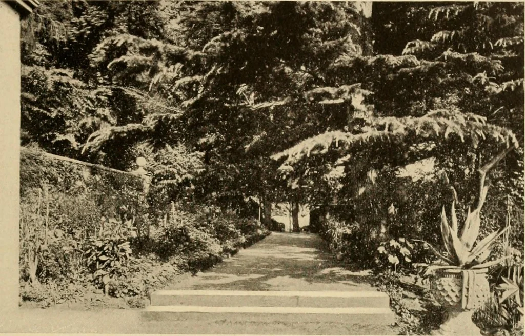 An illustration from European and Japanese gardens; papers read before the American Institute of Architects, 1902, leaf 84