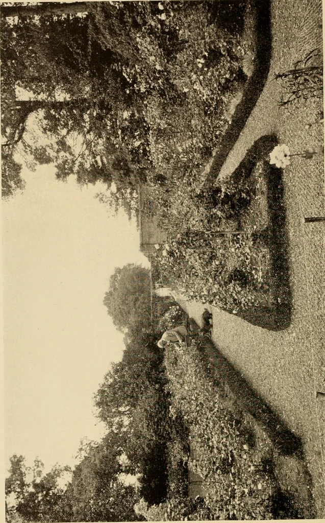 An illustration from European and Japanese gardens; papers read before the American Institute of Architects, 1902, leaf 93