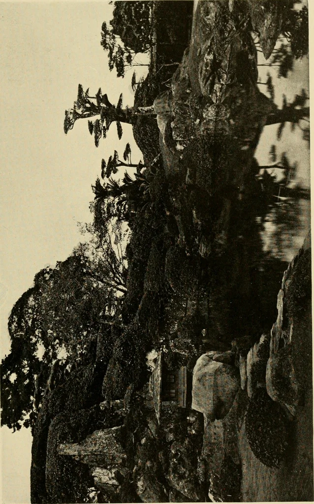 An illustration from European and Japanese gardens; papers read before the American Institute of Architects .., 1902, leaf 146