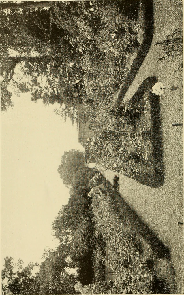 An illustration from European and Japanese gardens; papers read before the American Institute of Architects .., 1902, leaf 95