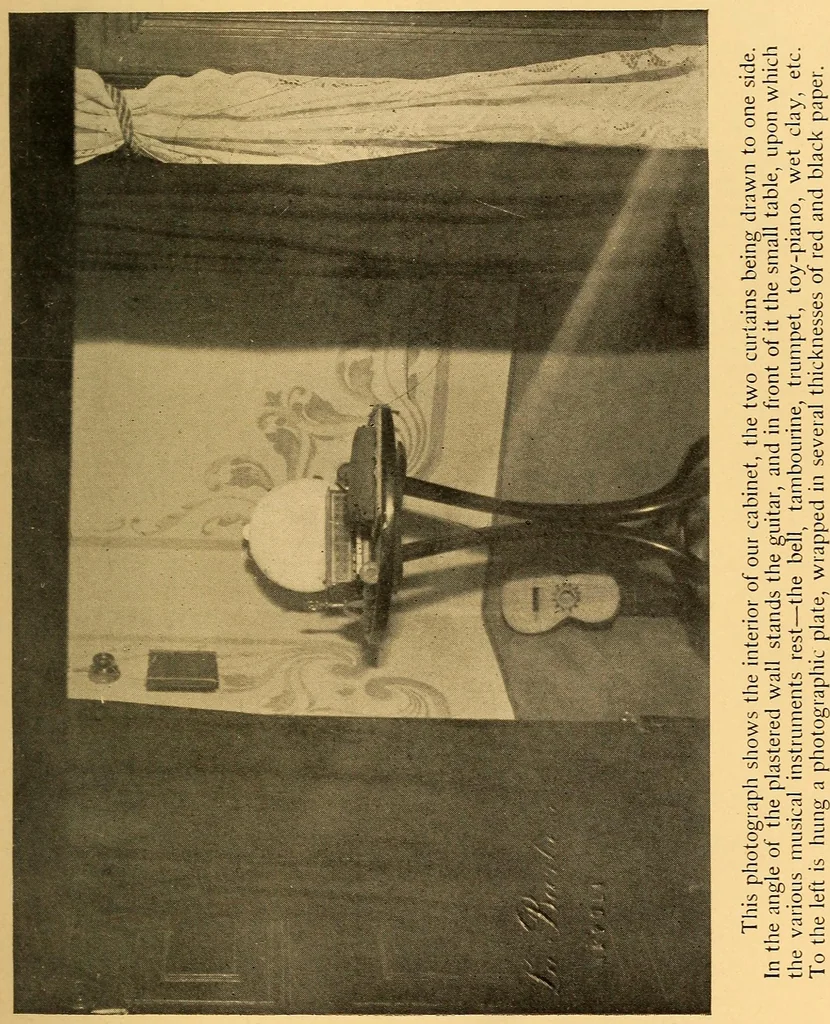 An illustration from Eusapia Palladino and her phenomena, 1909, leaf 53
