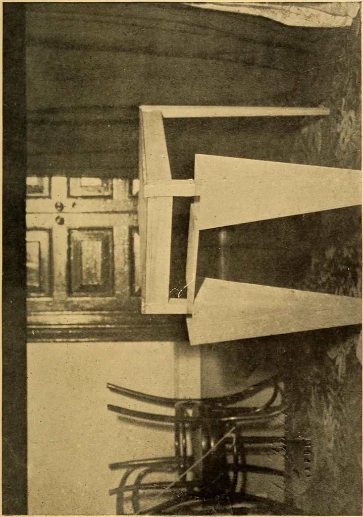An illustration from Eusapia Palladino and her phenomena, 1909, leaf 91
