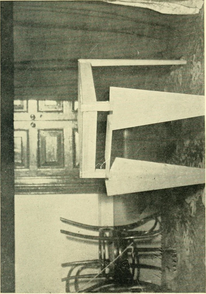 An illustration from Eusapia Palladino and her phenomena, 1909, leaf 91