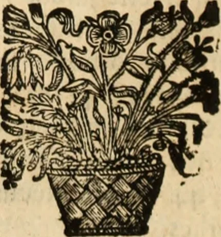 An illustration from Eva, e Ave, ou, Maria triumphante : theatro da erudiçam, e philosophia Christ, em que se representão os dous estados do mundo : cahido em Eva, e levantado em Ave, 1700, leaf 105