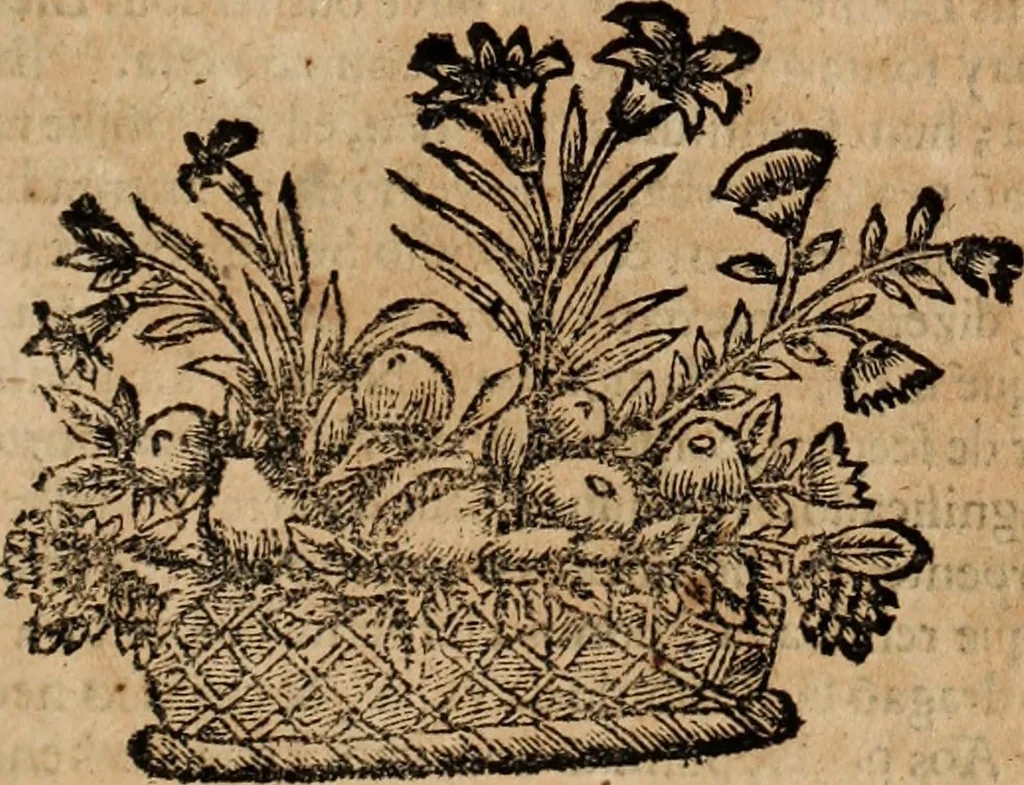 An illustration from Eva, e Ave, ou, Maria triumphante : theatro da erudiçam, e philosophia Christ, em que se representão os dous estados do mundo : cahido em Eva, e levantado em Ave, 1700, leaf 226