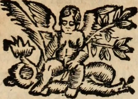 An illustration from Eva, e Ave, ou, Maria triumphante : theatro da erudiçam, e philosophia Christ, em que se representão os dous estados do mundo : cahido em Eva, e levantado em Ave, 1700, leaf 252