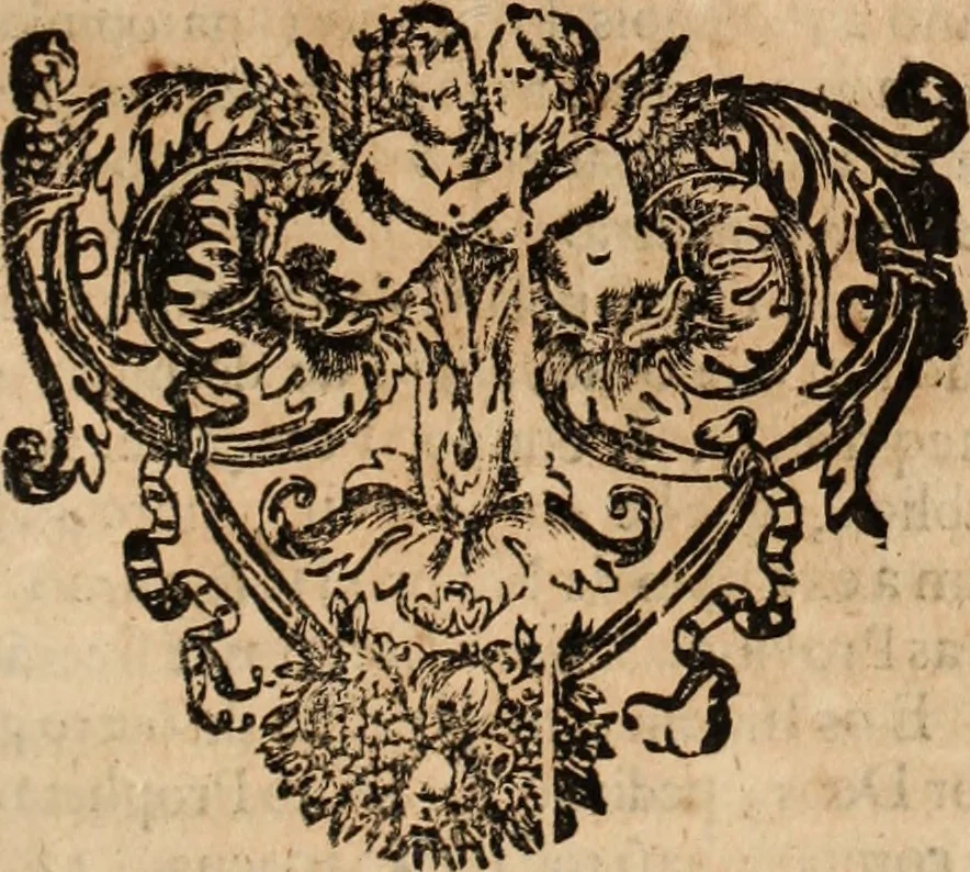 An illustration from Eva, e Ave, ou, Maria triumphante : theatro da erudiçam, e philosophia Christ, em que se representão os dous estados do mundo : cahido em Eva, e levantado em Ave, 1700, leaf 266