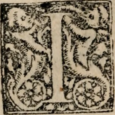 An illustration from Evangelicae conciones Dominicarum totius anni, per dialectica & rhetorica artificia breuiter tractatae, subnexis Epistolarum argumentis. De sacris concionibvs formandis compendiaria formula praefixa, 1545, leaf 163