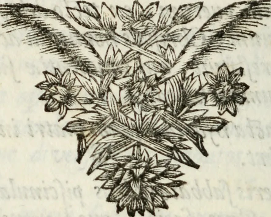 An illustration from Evangelium infantiae : vel, Liber Apocryphus de infantia servatoris, 1697, leaf 195