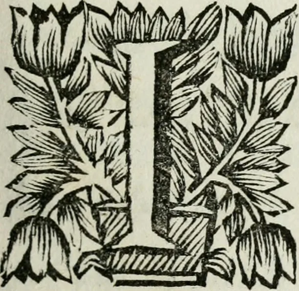 An illustration from Evangelium infantiae : vel, Liber Apocryphus de infantia servatoris, 1697, leaf 30