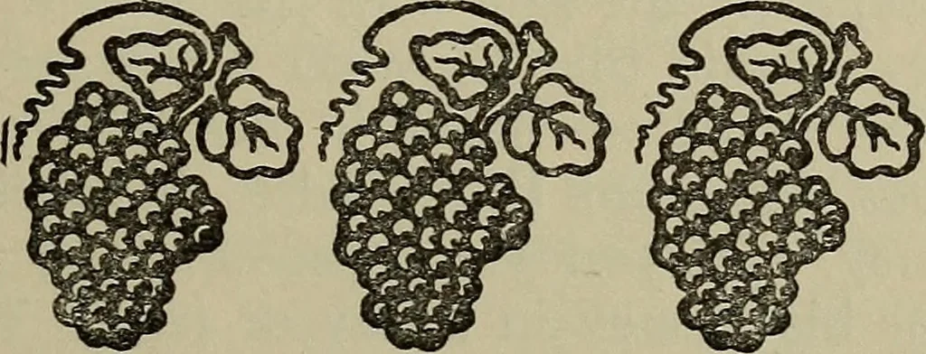 An illustration from Evans's essays;, 1908, leaf 100