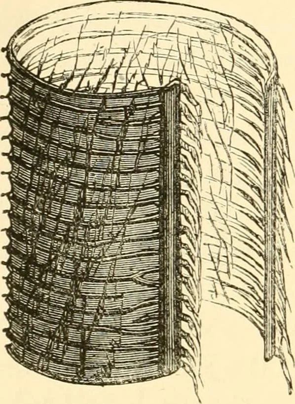 An illustration from Evenings at the microscope : or, Researches among the minuter organs and forms of animal life, 1884, leaf 169
