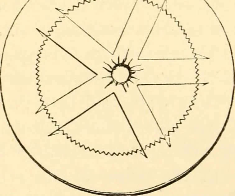 An illustration from Evenings at the microscope : or, Researches among the minuter organs and forms of animal life, 1884, leaf 311