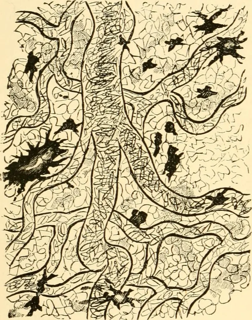 An illustration from Evenings at the microscope : or, Researches among the minuter organs and forms of animal life, 1884, leaf 45