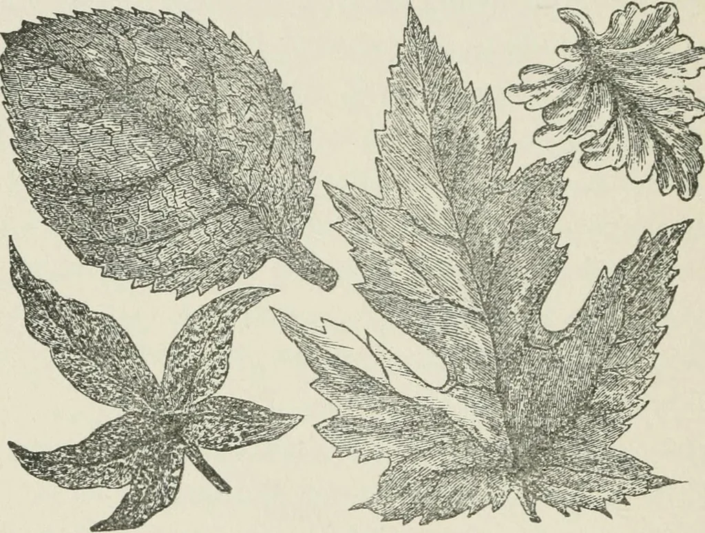 An illustration from Everybody's paint book : a complete guide to the art of outdoor and indoor painting, 1905, leaf 154