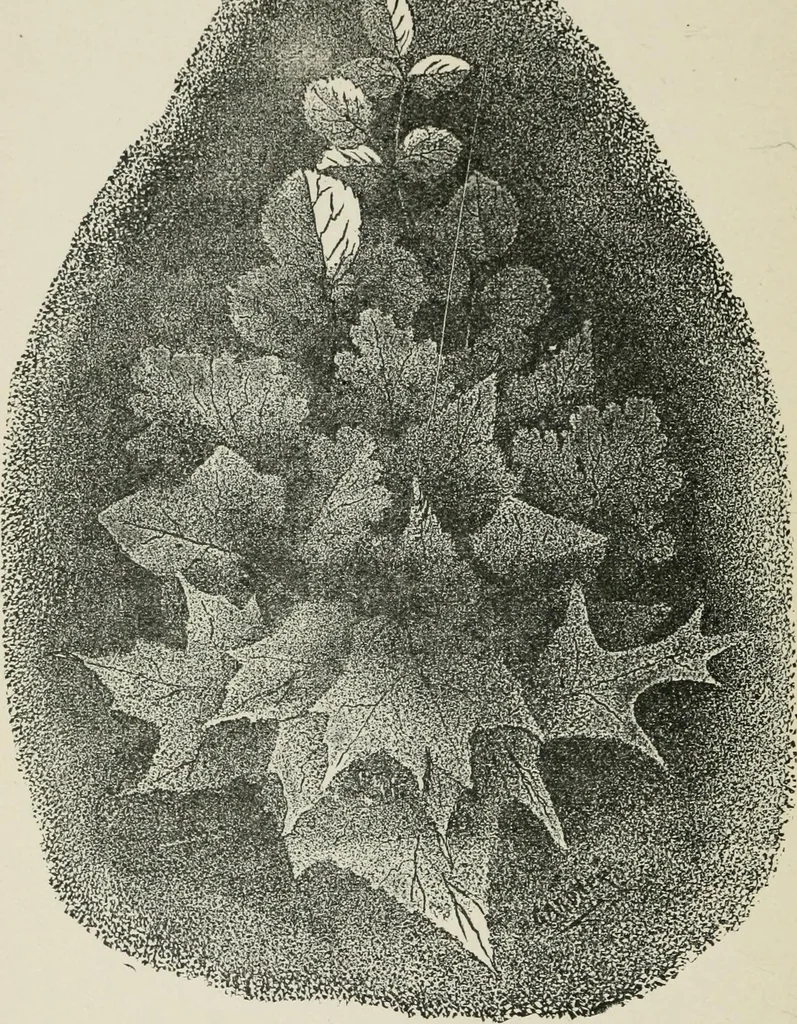 An illustration from Everybody's paint book : a complete guide to the art of outdoor and indoor painting, 1905, leaf 160