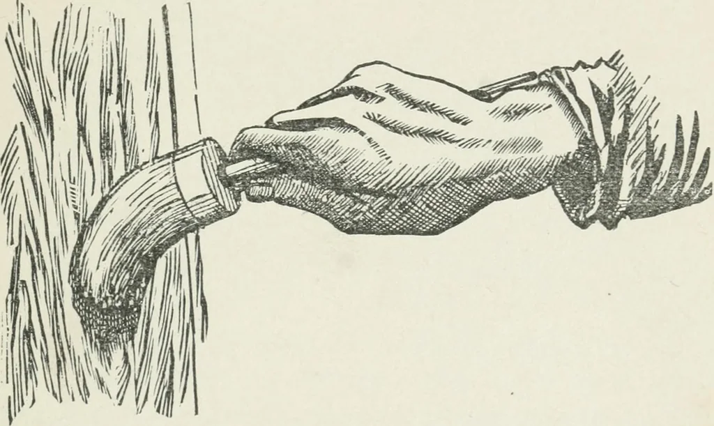 An illustration from Everybody's paint book : a complete guide to the art of outdoor and indoor painting, 1905, leaf 33