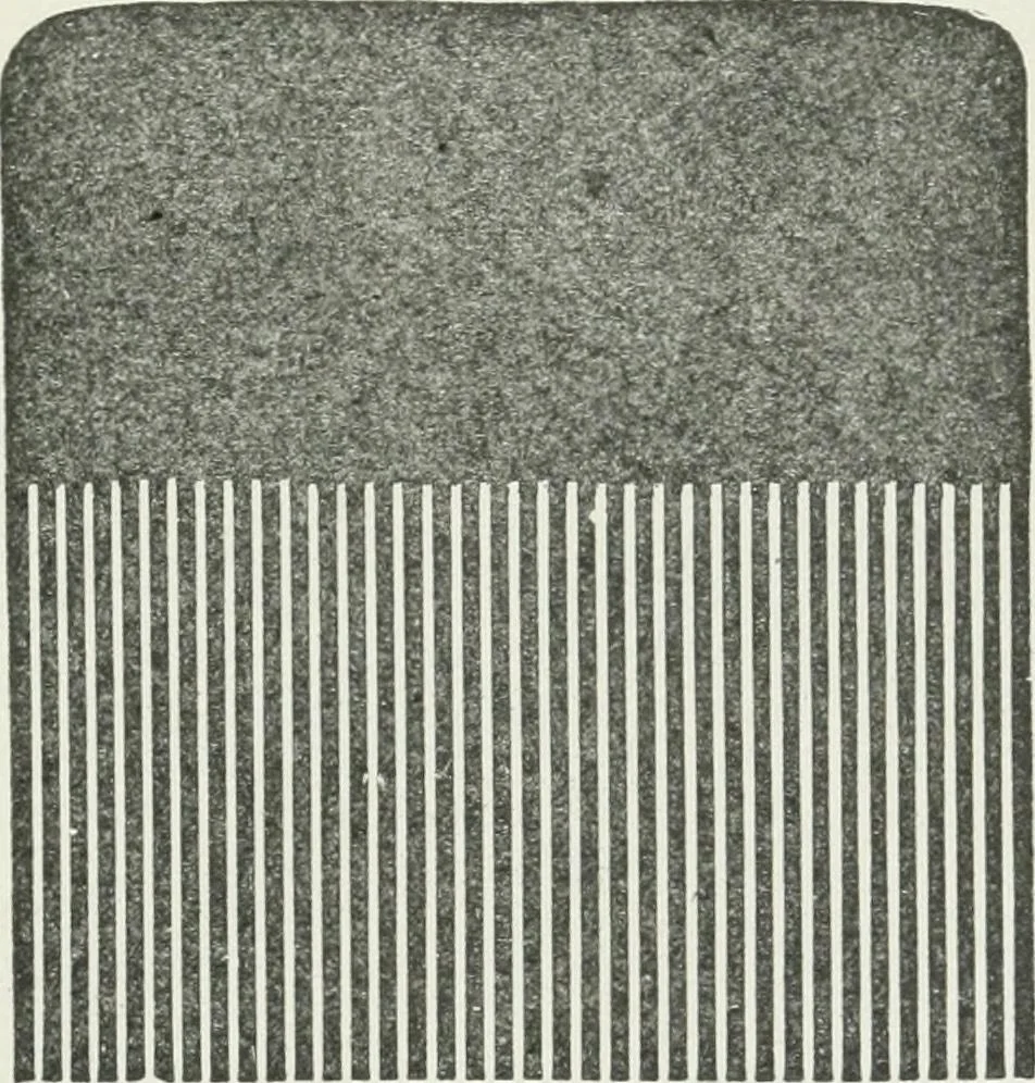 An illustration from Everybody's paint book : a complete guide to the art of outdoor and indoor painting, 1905, leaf 73