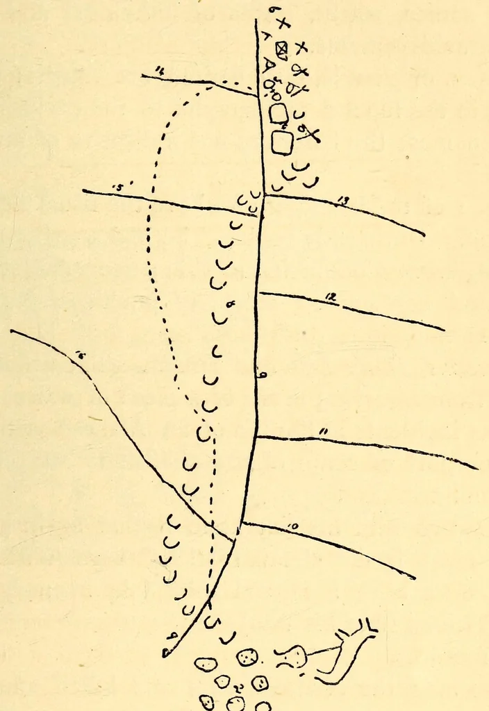 An illustration from Evolution in art: as illustrated by the life-histories of designs, 1895, leaf 243