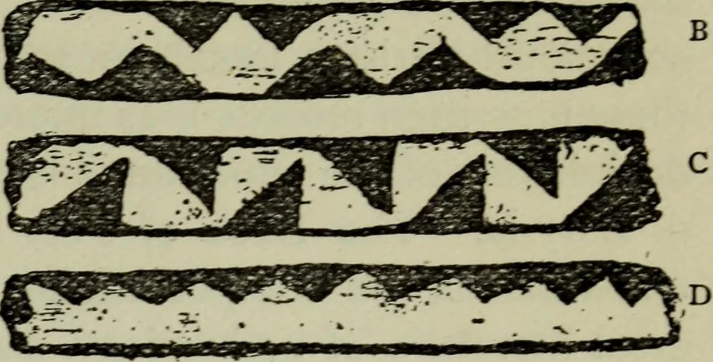 An illustration from Evolution in art : as illustrated by the life-histories of designs, 1902, leaf 120