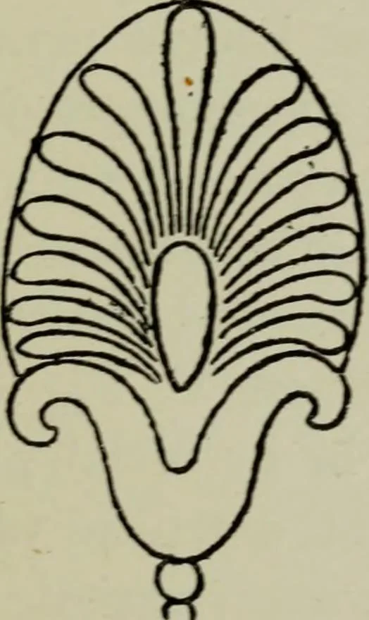 An illustration from Evolution in art : as illustrated by the life-histories of designs, 1902, leaf 182