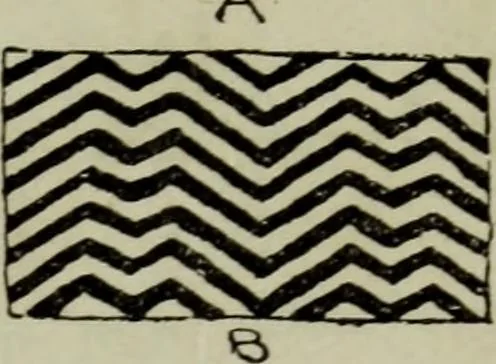 An illustration from Evolution in art : as illustrated by the life-histories of designs, 1902, leaf 198