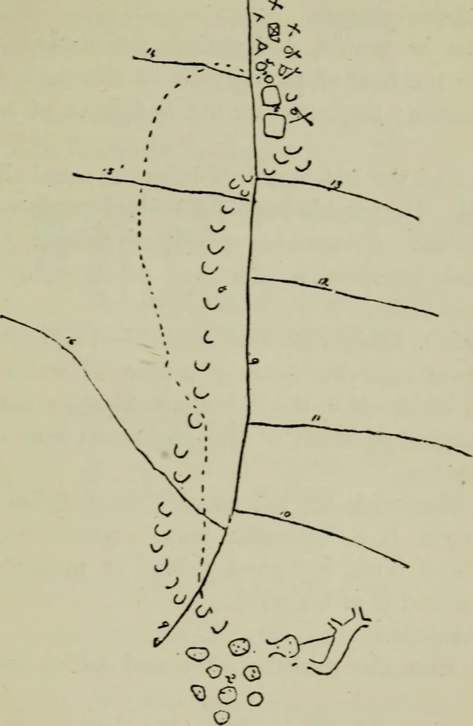 An illustration from Evolution in art : as illustrated by the life-histories of designs, 1902, leaf 232