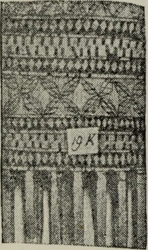 An illustration from Evolution in art : as illustrated by the life-histories of designs, 1902, leaf 263