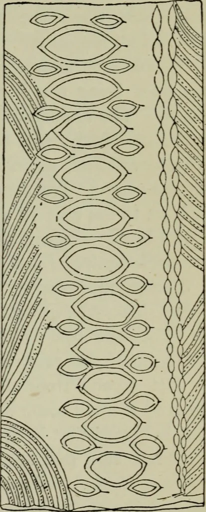 An illustration from Evolution in art : as illustrated by the life-histories of designs, 1902, leaf 268