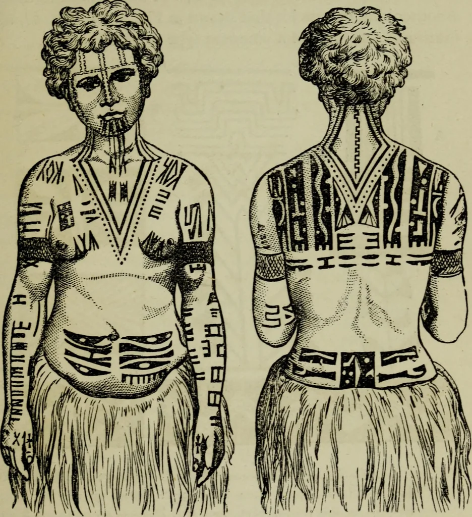 An illustration from Evolution in art : as illustrated by the life-histories of designs, 1902, leaf 66
