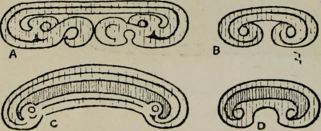 An illustration from Evolution in art : as illustrated by the life-histories of designs, 1902, leaf 77