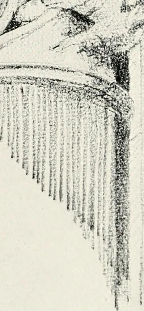 An illustration from The evolution of architectural ornament, 1913, leaf 158
