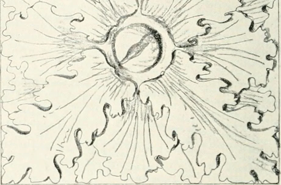 An illustration from The evolution of architectural ornament, 1913, leaf 200