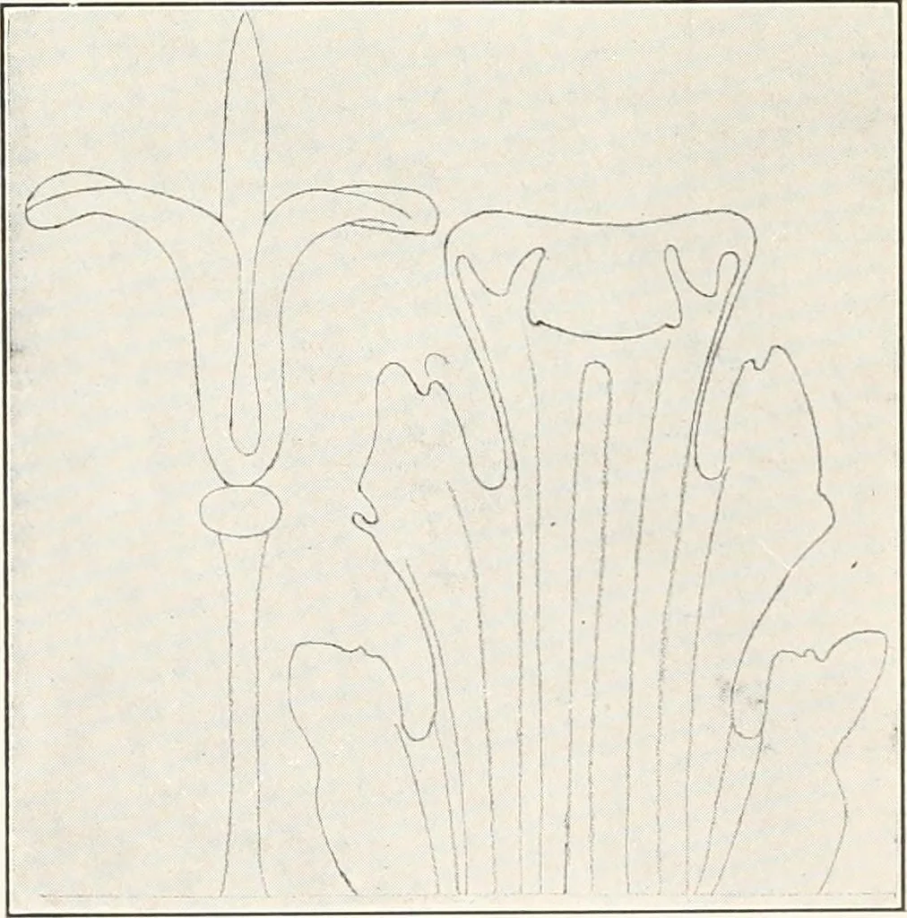 An illustration from The evolution of architectural ornament, 1913, leaf 49
