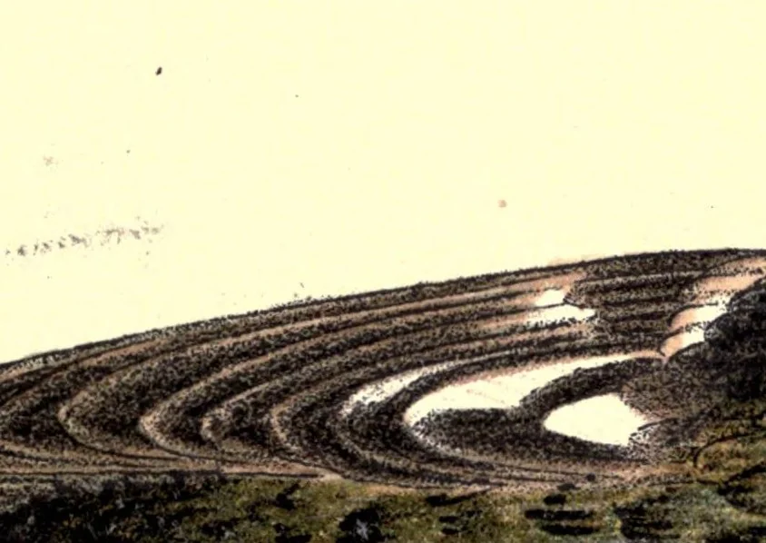 An illustration from Evolution of the colors of North American Land Birds, 1893, leaf 397