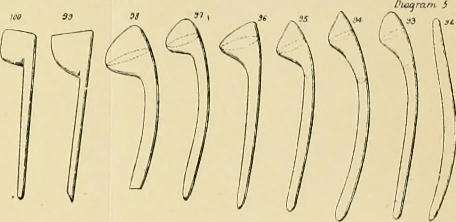An illustration from The evolution of culture, and other essays, 1906, leaf 197