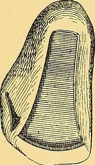 An illustration from The evolution of culture, and other essays, 1906, leaf 249