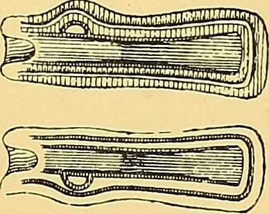 An illustration from The evolution of culture, and other essays, 1906, leaf 249