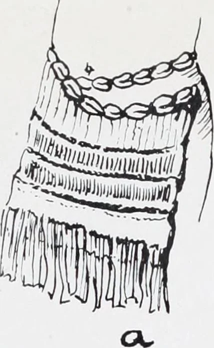 An illustration from The evolution of the dragon, 1919, leaf 210