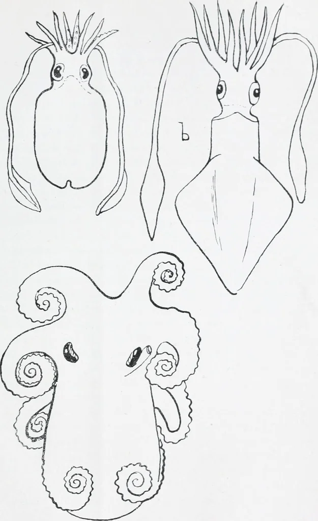 An illustration from The evolution of the dragon, 1919, leaf 229