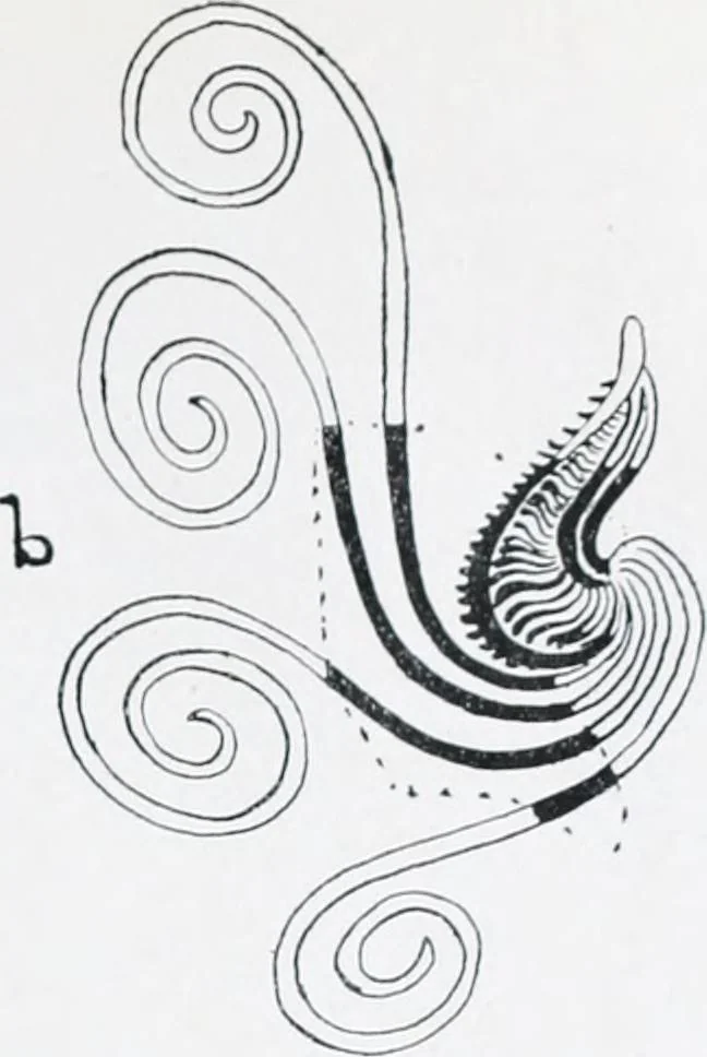 An illustration from The evolution of the dragon, 1919, leaf 235