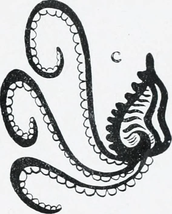 An illustration from The evolution of the dragon, 1919, leaf 235