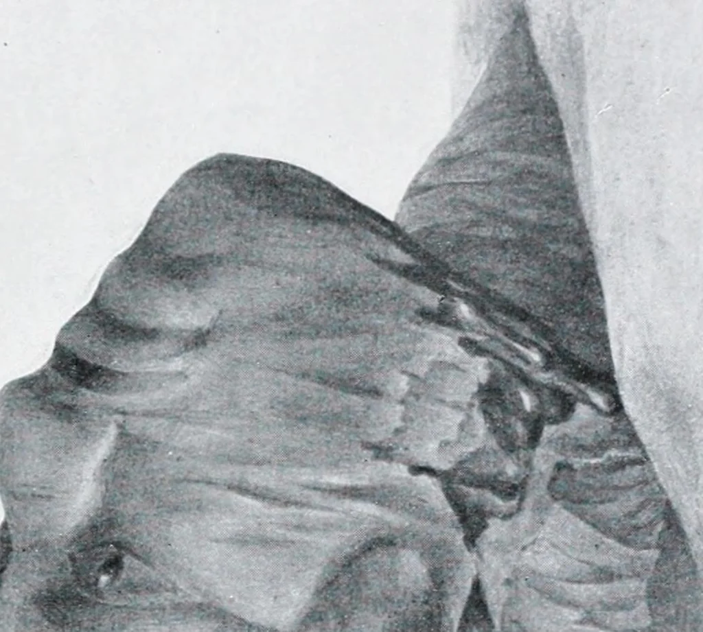 An illustration from The evolution of the dragon, 1919, leaf 41