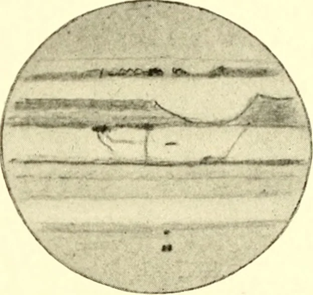 An illustration from The evolution of worlds, 1909, leaf 134