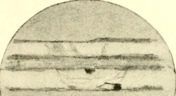 An illustration from The evolution of worlds, 1909, leaf 136