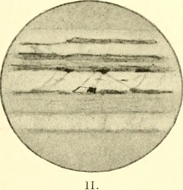 An illustration from The evolution of worlds, 1909, leaf 136