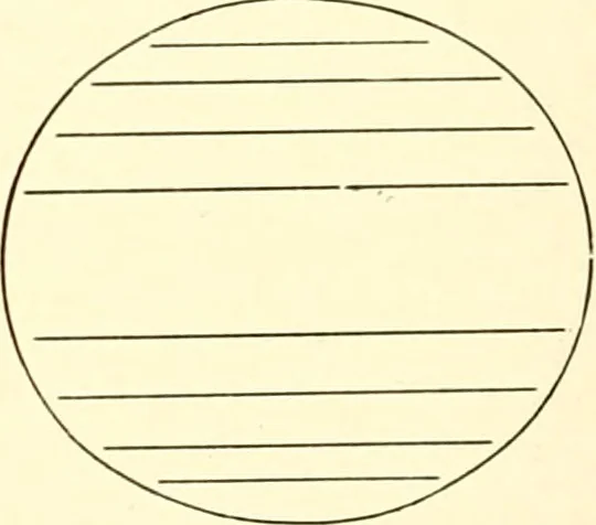 An illustration from The evolution of worlds, 1909, leaf 147